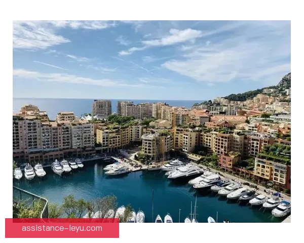 以摩纳哥俱乐部为核心探索欧洲足球竞技与城市文化融合发展趋势