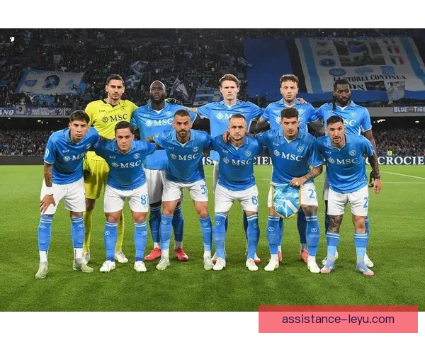 那不勒斯俱乐部冬窗引援计划曝光冲击意甲冠军再添变数五大豪门关注