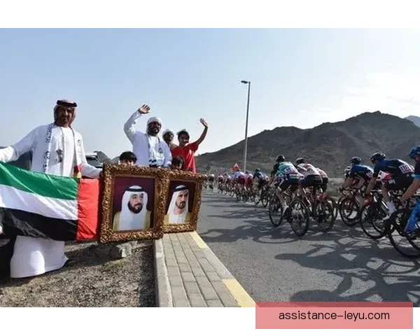 阿斯顿维拉赛季冲刺引援动向与战术革新及未来布局全解析深度观察