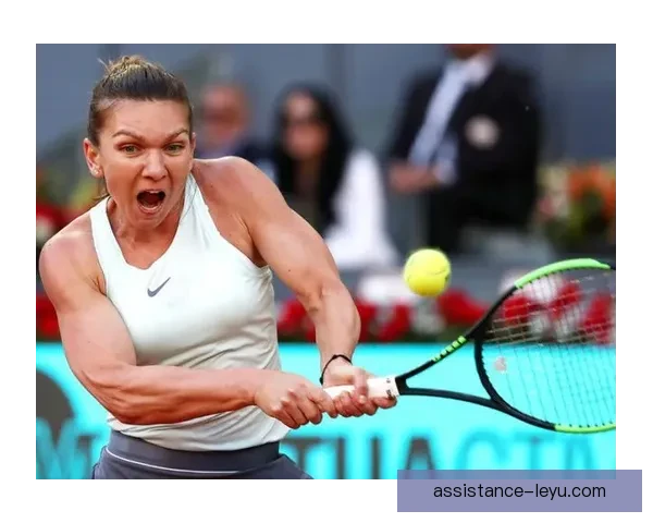 ATP与WTA赛季激战升级新星崛起与老将争锋引爆全球网球热潮